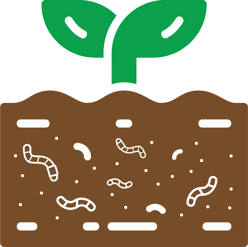Eco-Sustainability