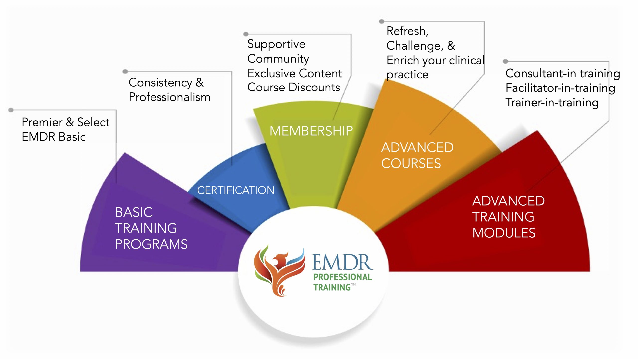 EMDR Professional Training:  EMDR training at all levels