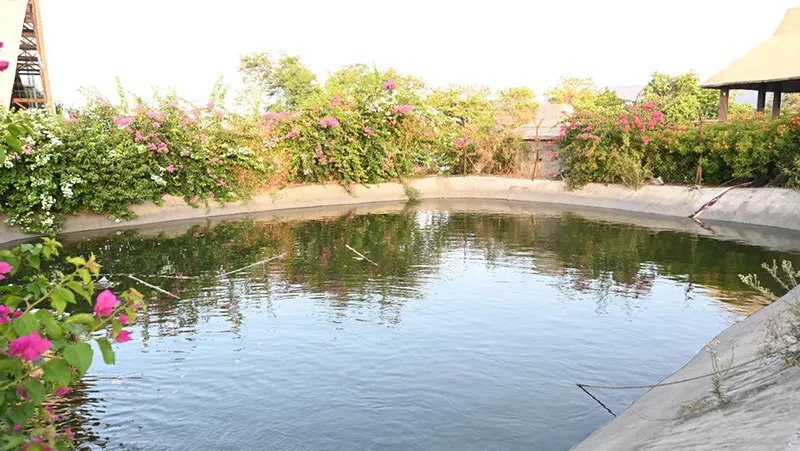 Nityanand Rehab Centre Pachane