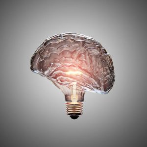 The First Brain and the Second Brain (Part 2)