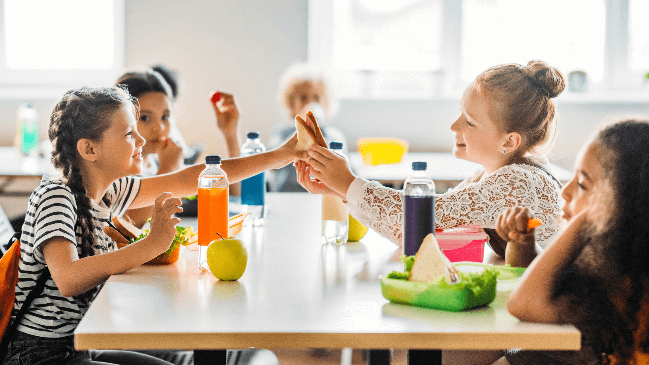 Back to School Gut Health Tips for Kids