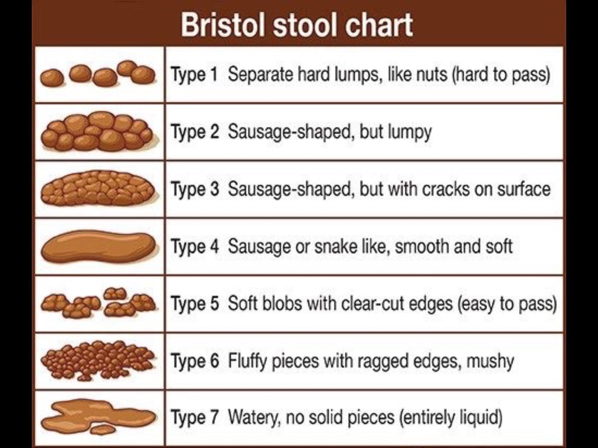 Let's Talk About Poop!