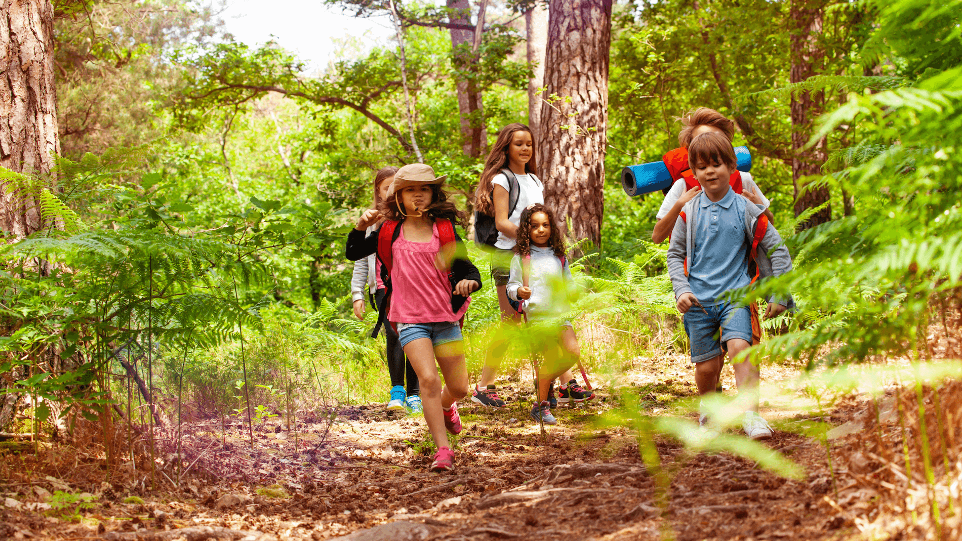 Strategies for Managing Childhood Obesity and Healthy Weight