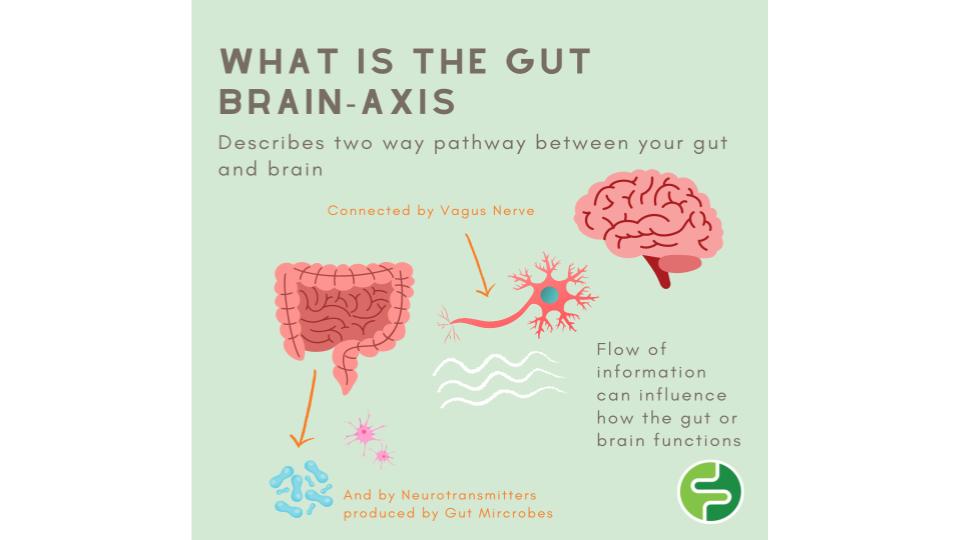 October 5, 2023, is National Depression Screening Day: Depression and Your Digestive System