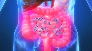 bugs in your gut