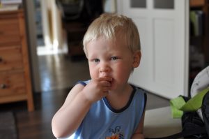 toddler stopped eating