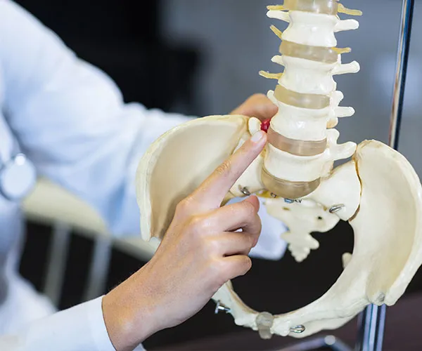 What Is the Primary Cause of Herniated Disc?