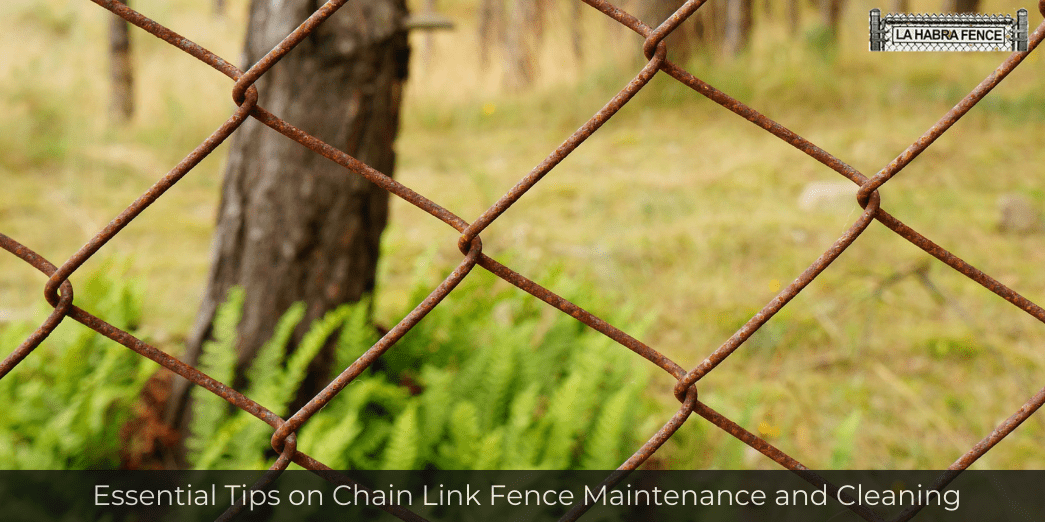 Essential Tips on Chain Link Fence Maintenance and Cleaning