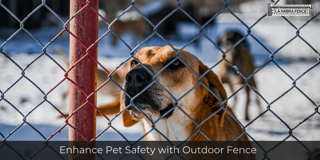 Enhance Pet Safety with Outdoor Fence