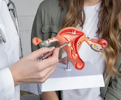 Uterine & Reproductive Surgeries