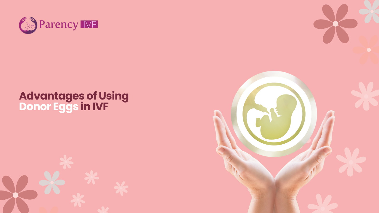 IVF with donor eggs success story