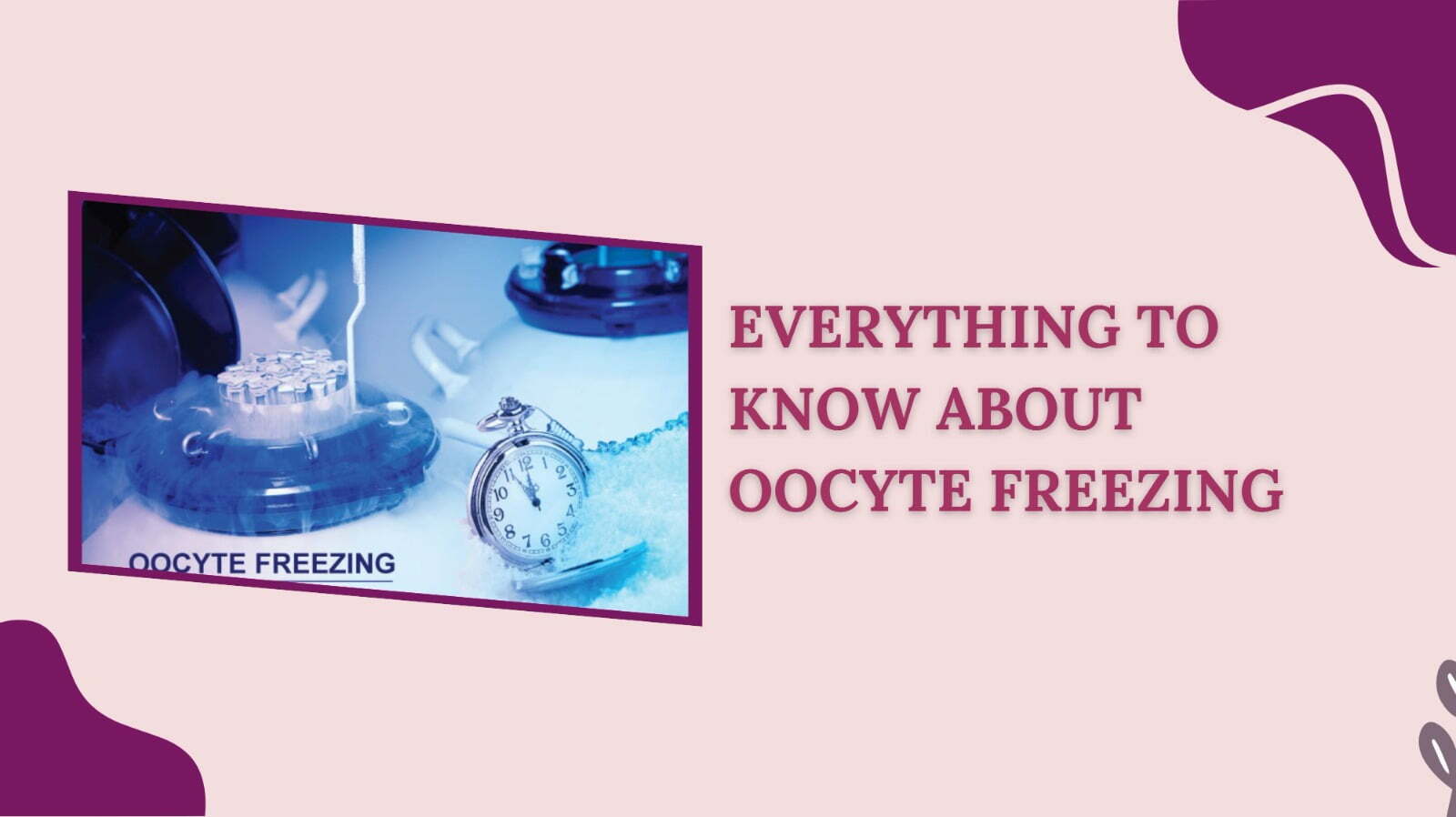 Everything to know about Oocyte freezing