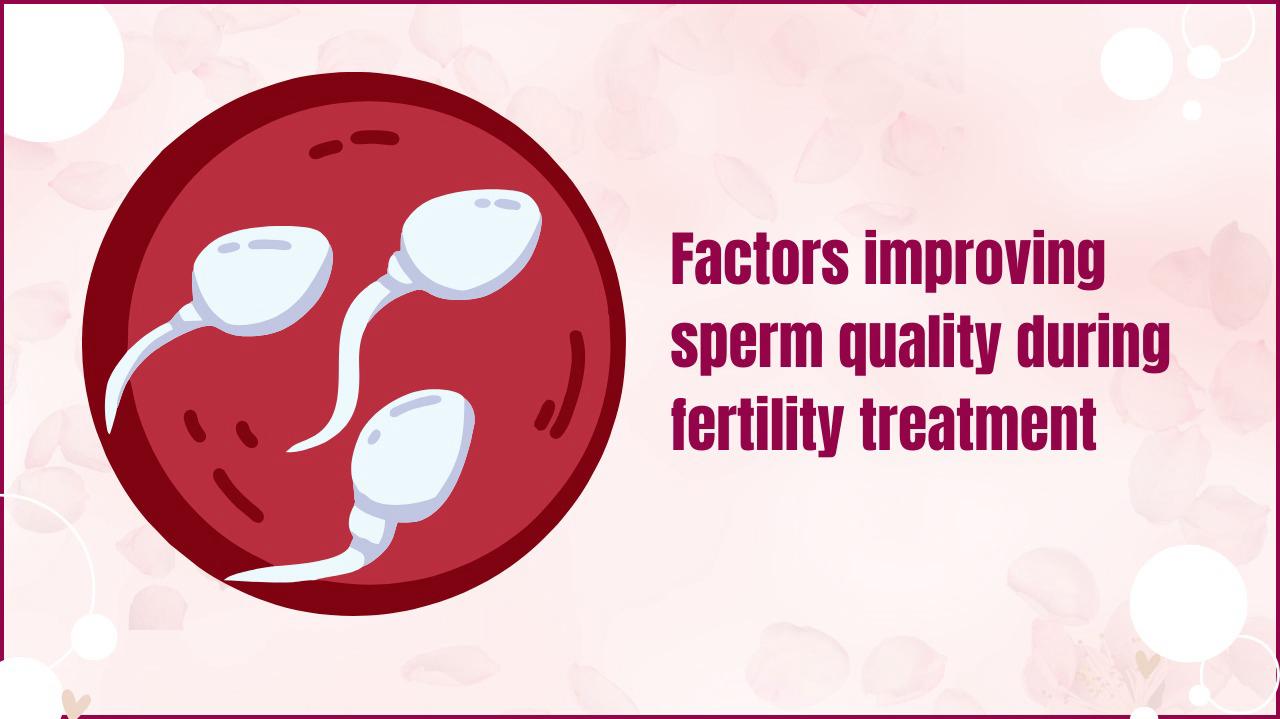 Factors improving sperm quality during fertility treatment