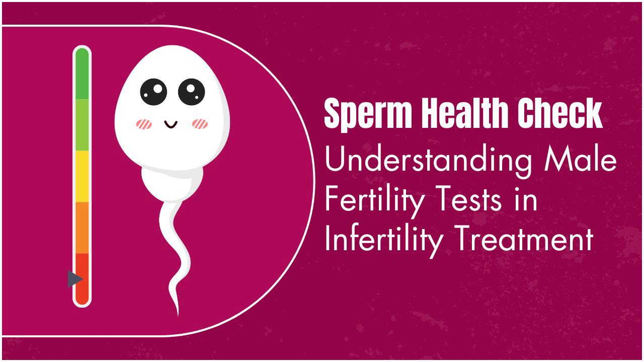 Sperm Health Check: Understanding Male Fertility Tests in Infertility Treatment