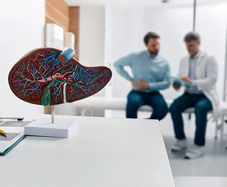 Liver Health and Testing