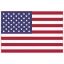 US flag icon