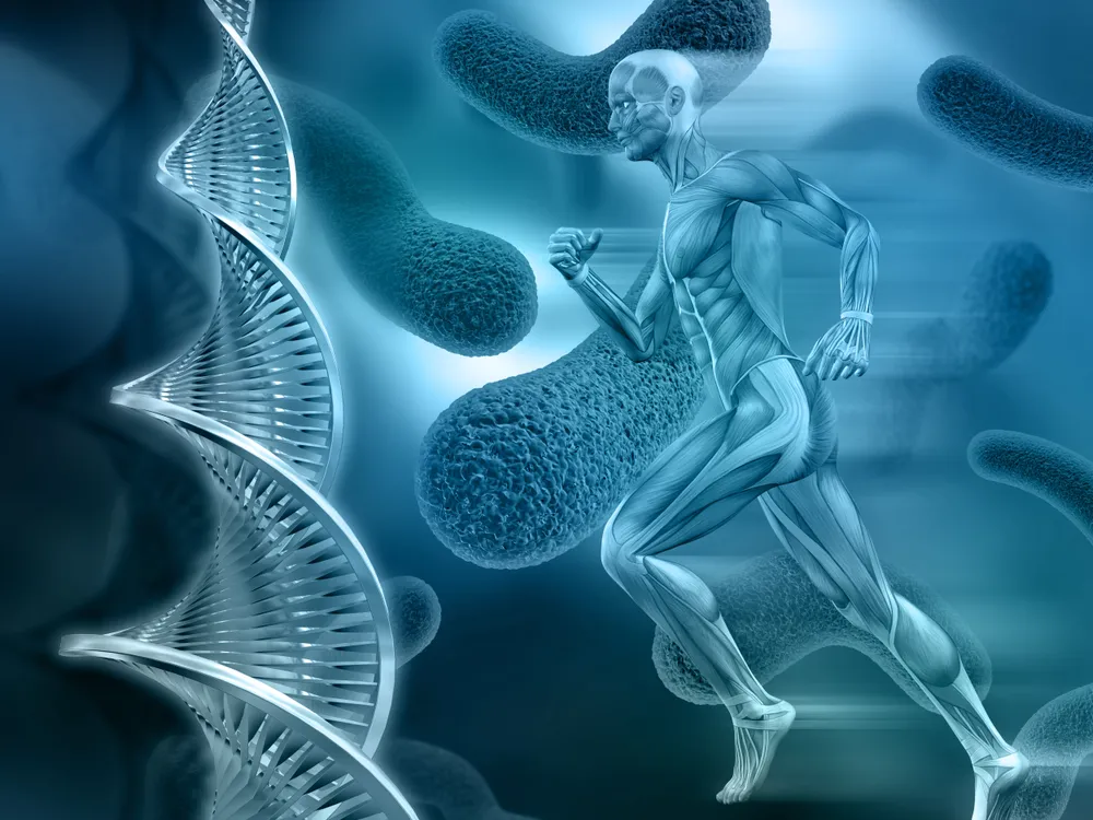 Abstract illustration of human anatomy and nerve structures
