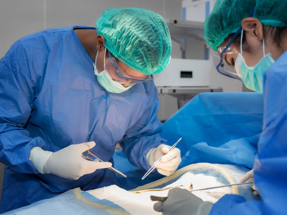 Surgical team performing robotic-assisted surgery