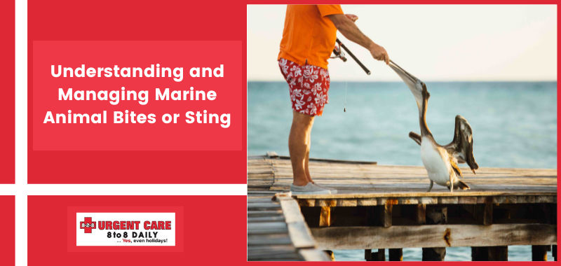 Understanding and Managing Marine Animal Bites or Sting
