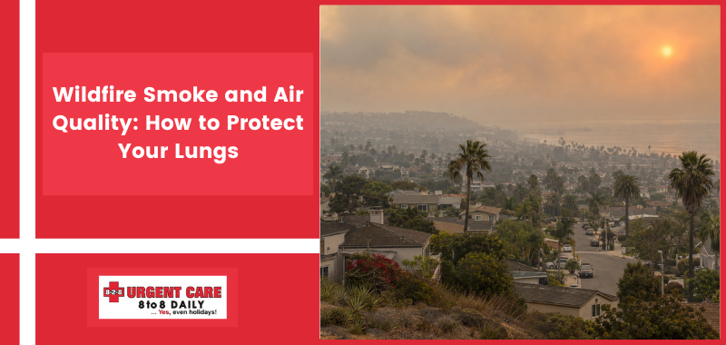 Wildfire Smoke and Air Quality: How to Protect Your Lungs