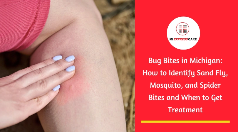 Bug Bites in Michigan: How to Identify Sand Fly, Mosquito, and Spider Bites and When to Get Treatment