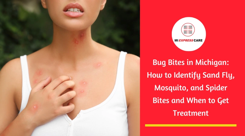 Bug Bites in Michigan: How to Identify Sand Fly, Mosquito, and Spider Bites and When to Get Treatment