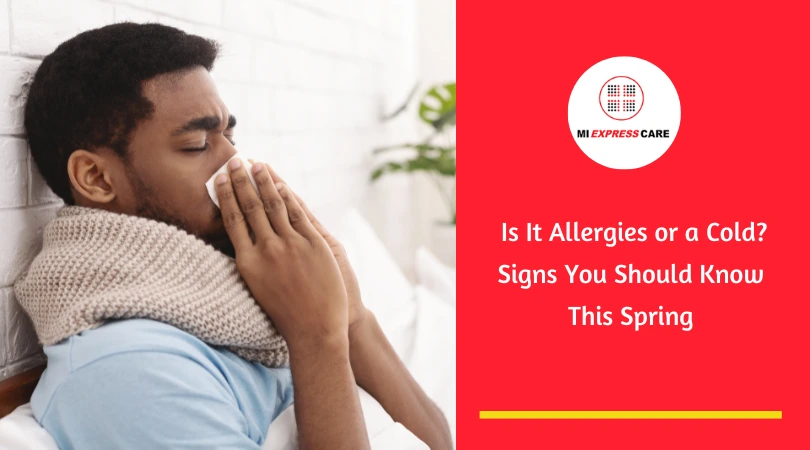 Is It Allergies or a Cold? Signs You Should Know This Spring