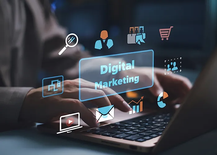 Who Our Expertise Is Designed For