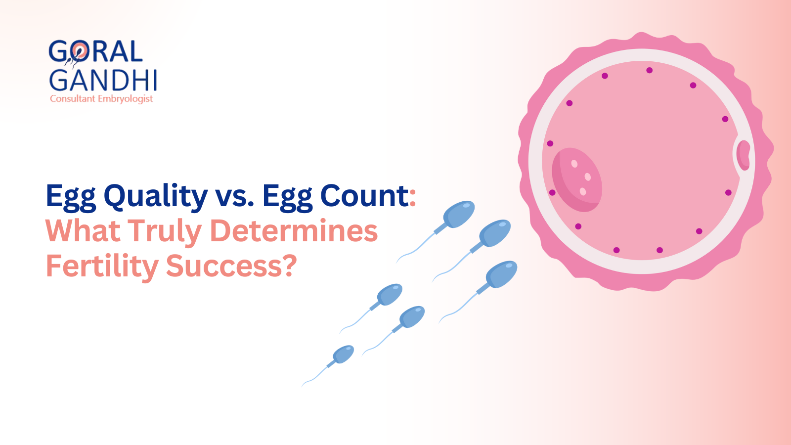 Egg Quality Over Quantity in Fertility Treatment