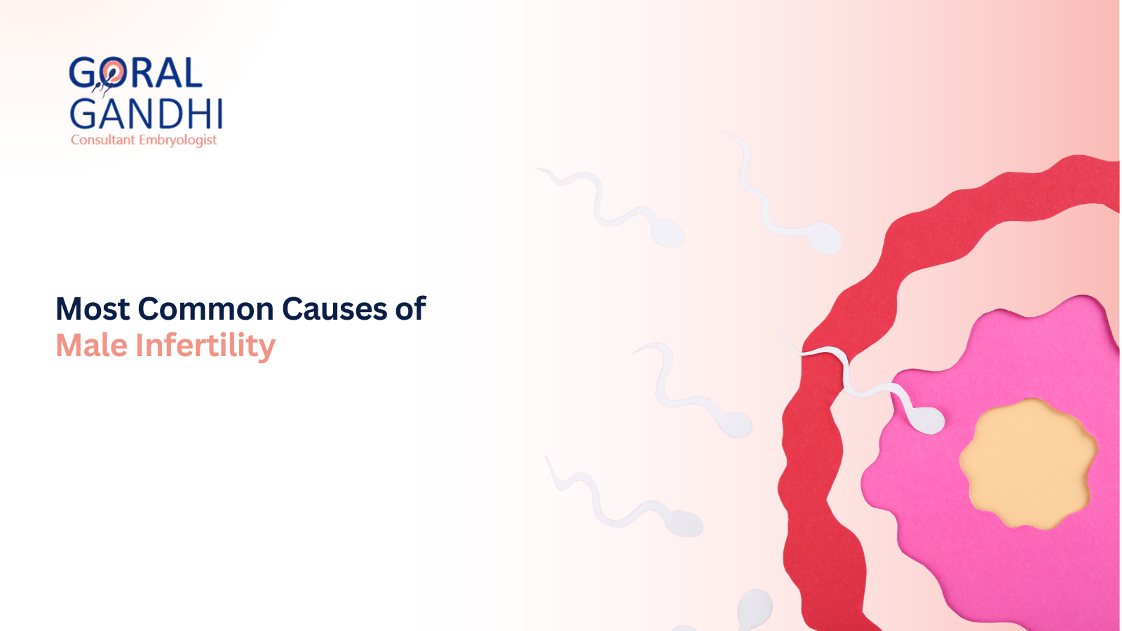 male infertility causes