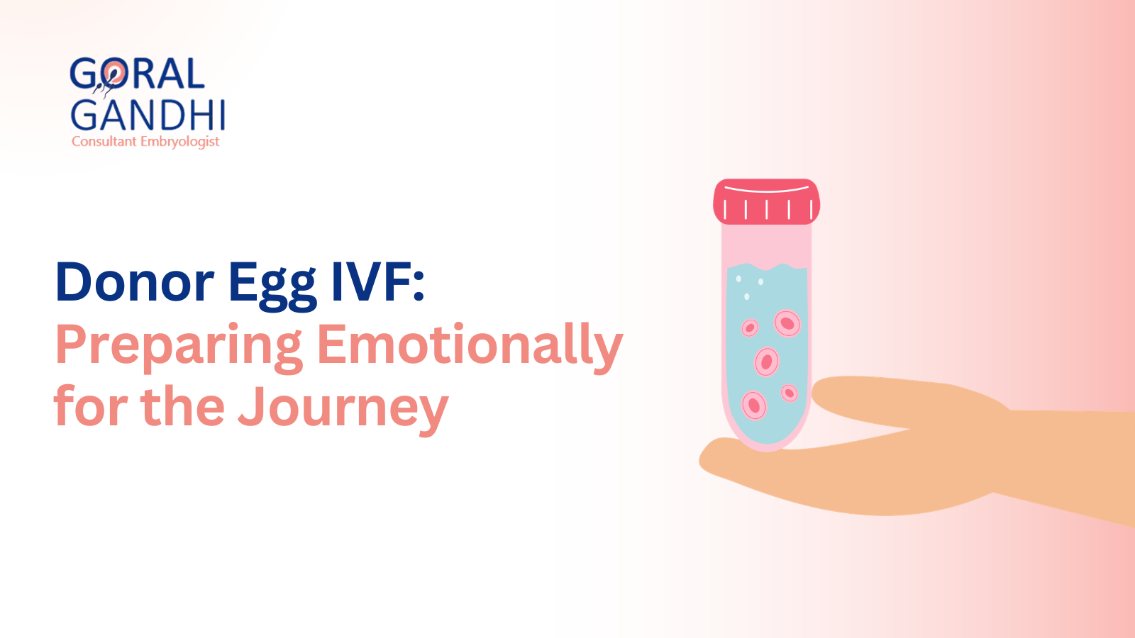 How to Prepare Emotionally Before Using a Donor Egg in Your IVF Journey