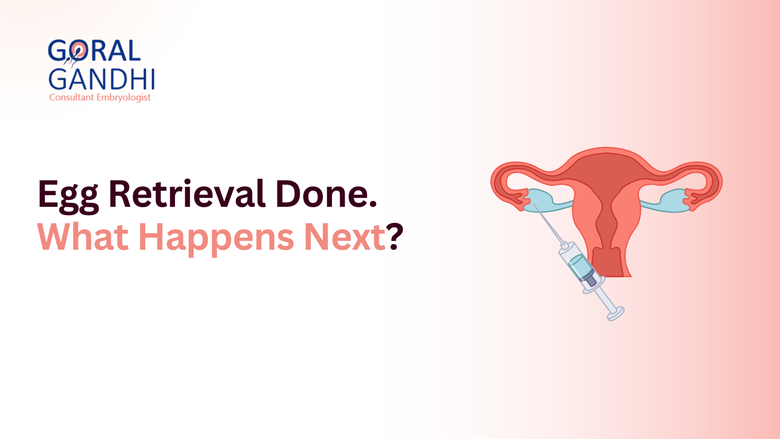 What Happens After Egg Retrieval? Understanding the IVF Laboratory Process
