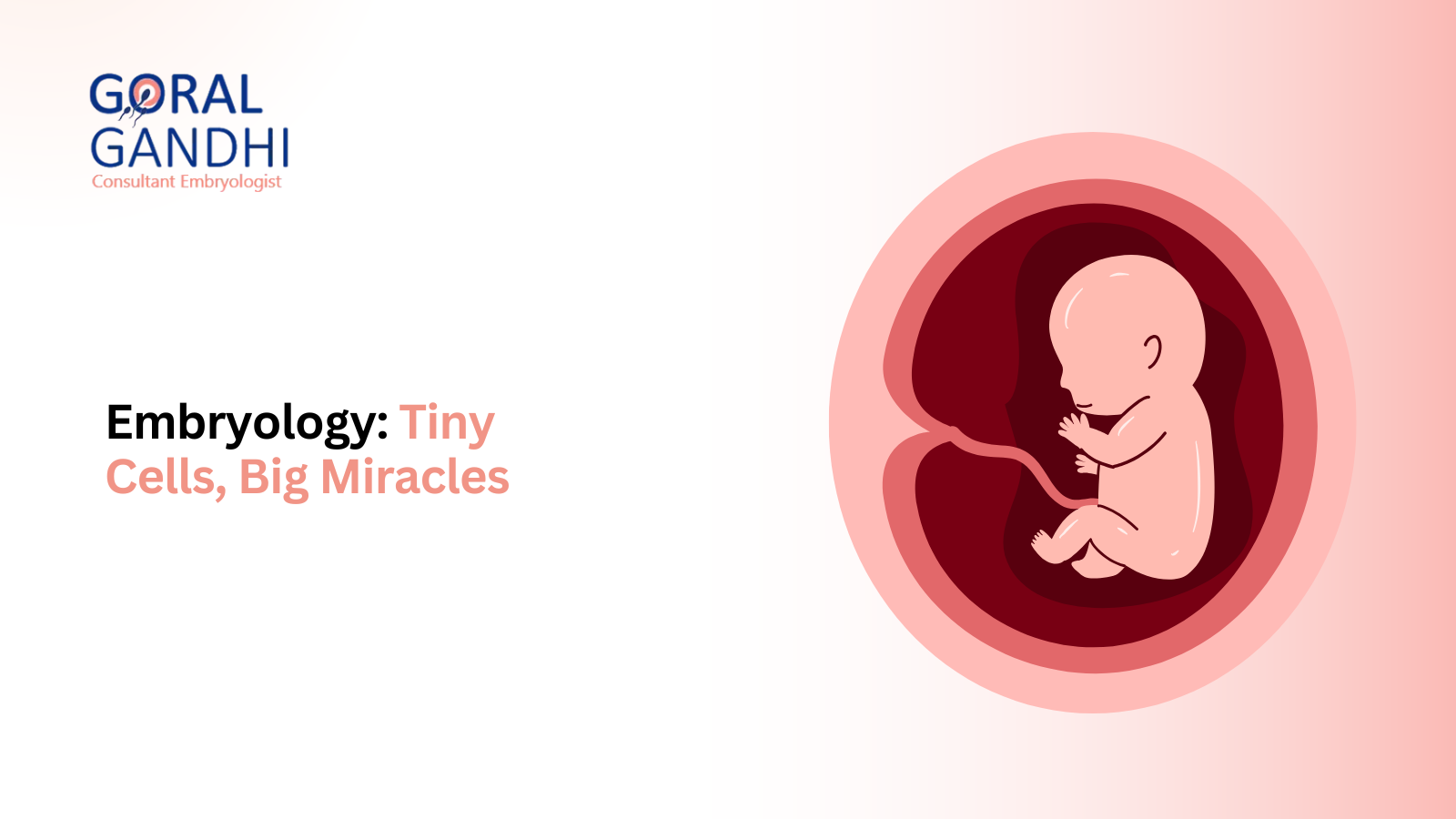 Embryology: Tiny Cells, Big Miracles