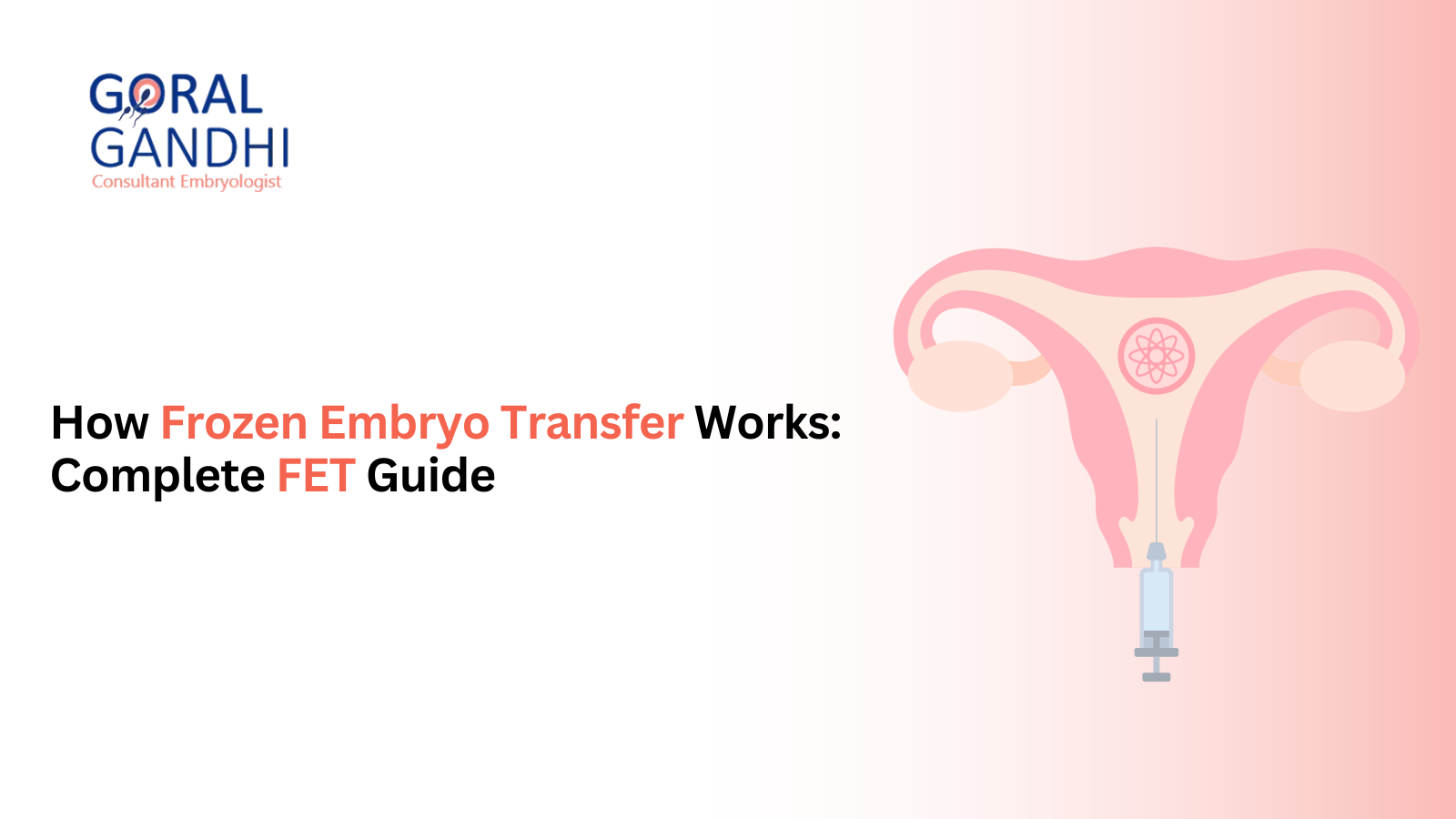 How Does Frozen Embryo Transfer Work? Everything You Need to Know