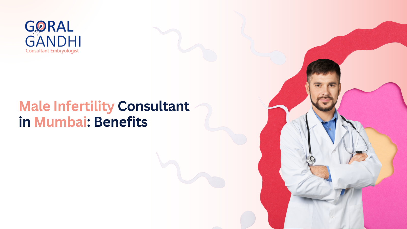 male infertility consultant