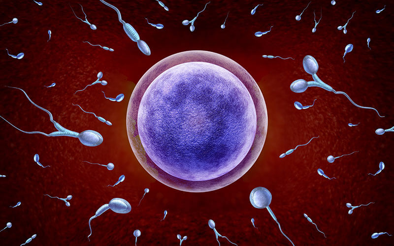 What is Male Infertility?