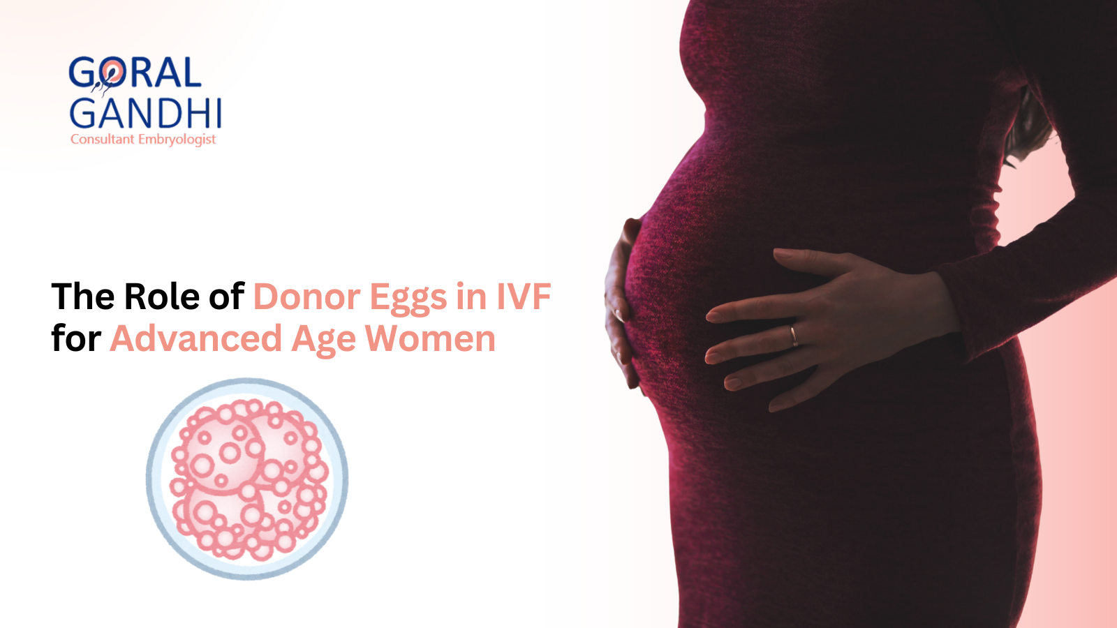 The Role of Donor Eggs in IVF for Advanced Age Women