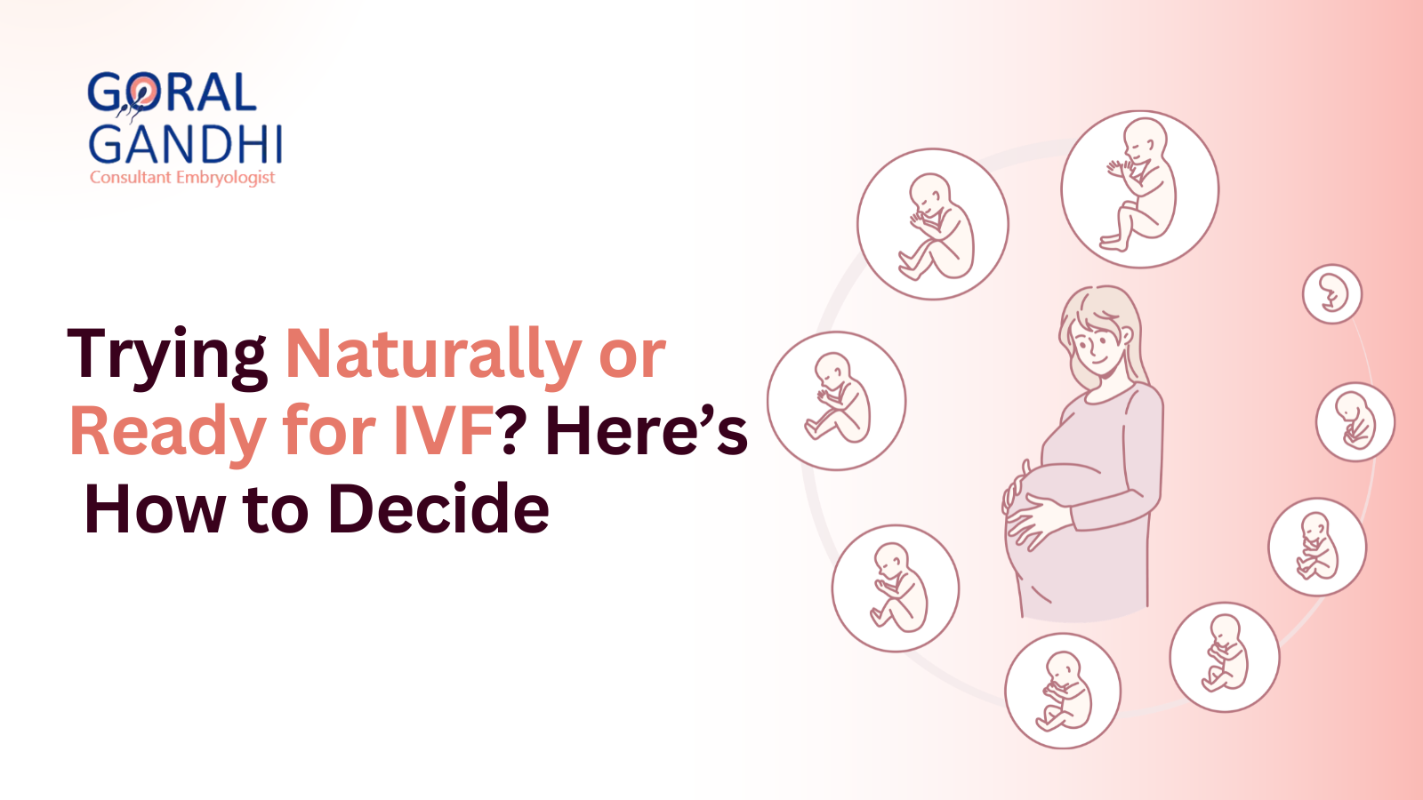 Timed Intercourse vs IUI vs IVF: When to Progress to the Next Step