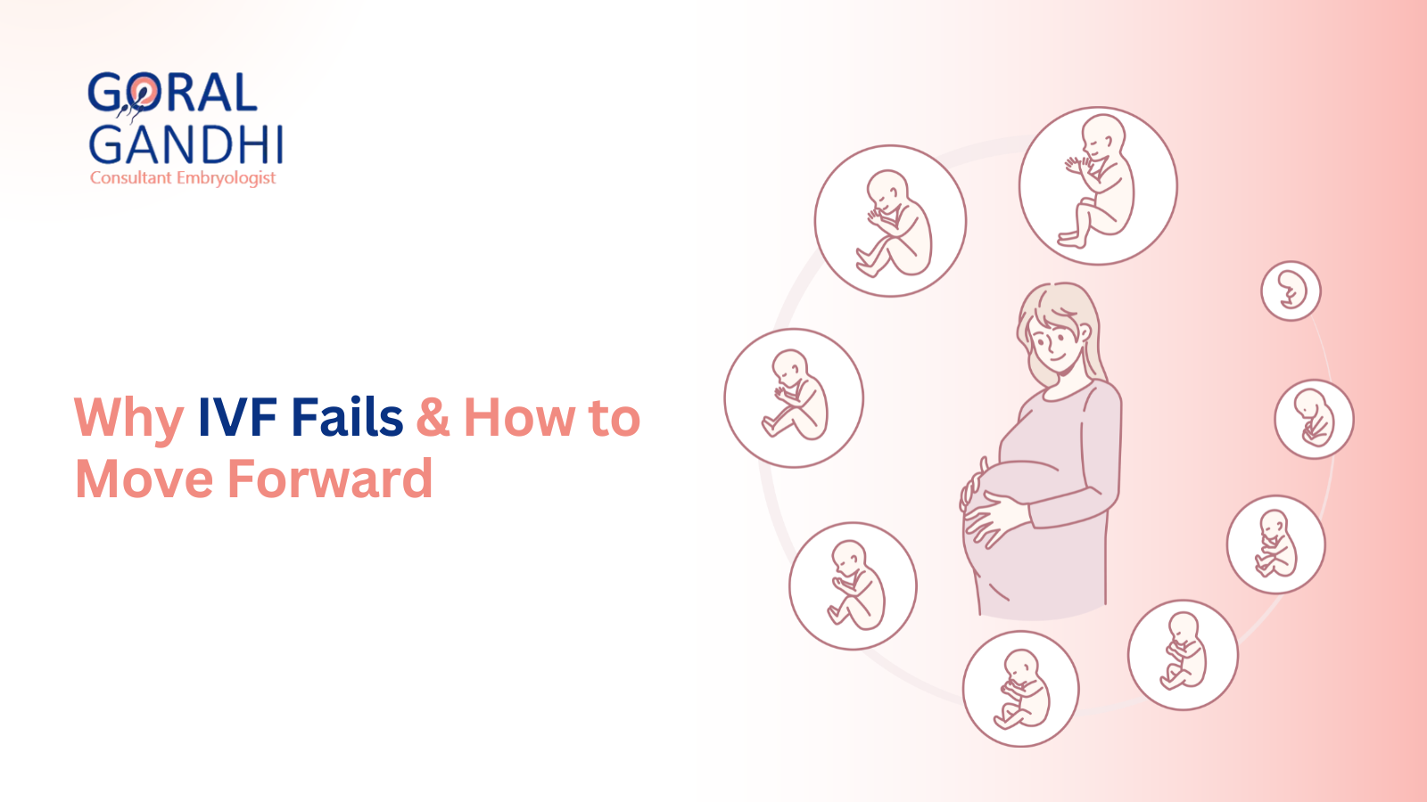 Why IVF Fails & How to Move Forward