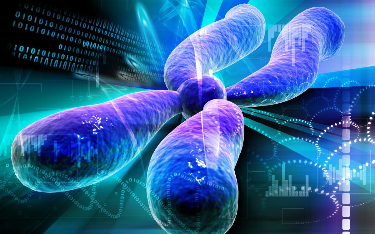 Pre-Implantation Genetic Diagnosis vs. Pre-Implantation Genetic Screening