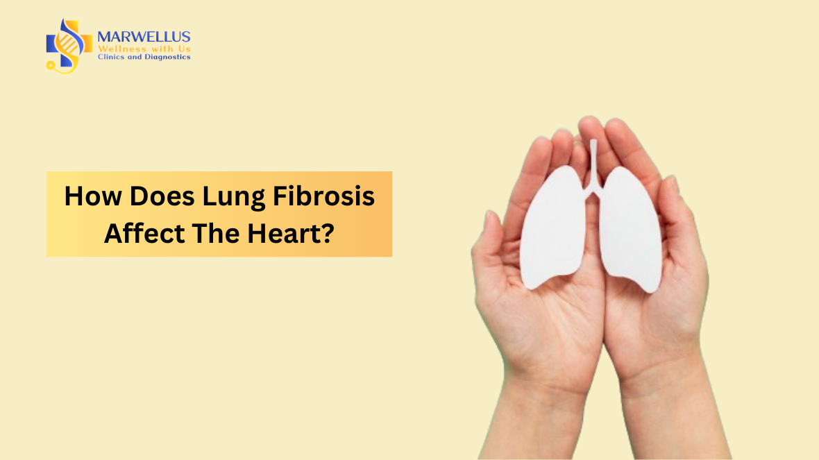 lung fibrosis affect the heart