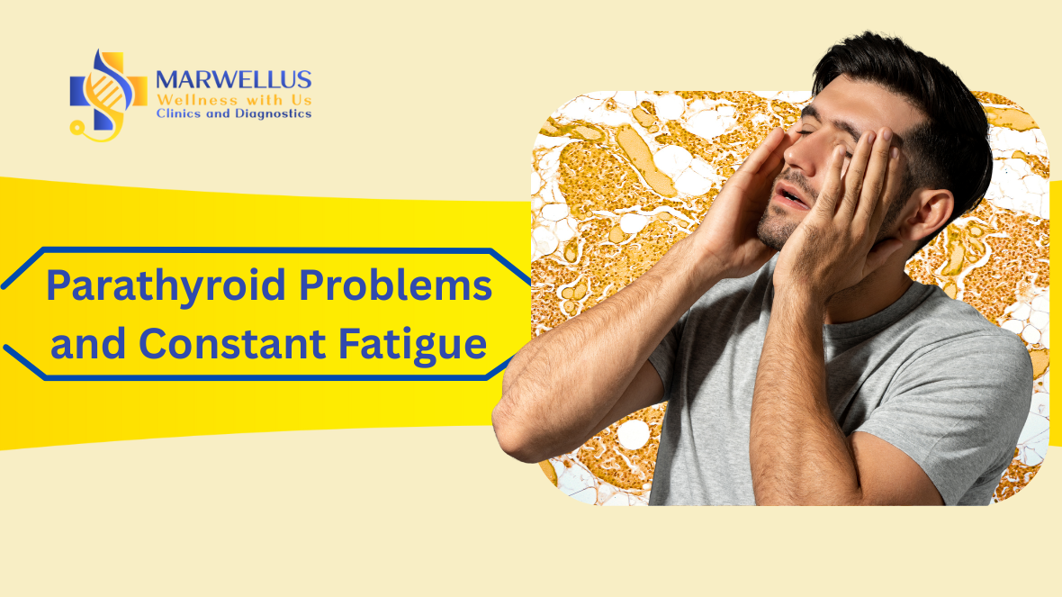 Parathyroid Problems and Constant Fatigue