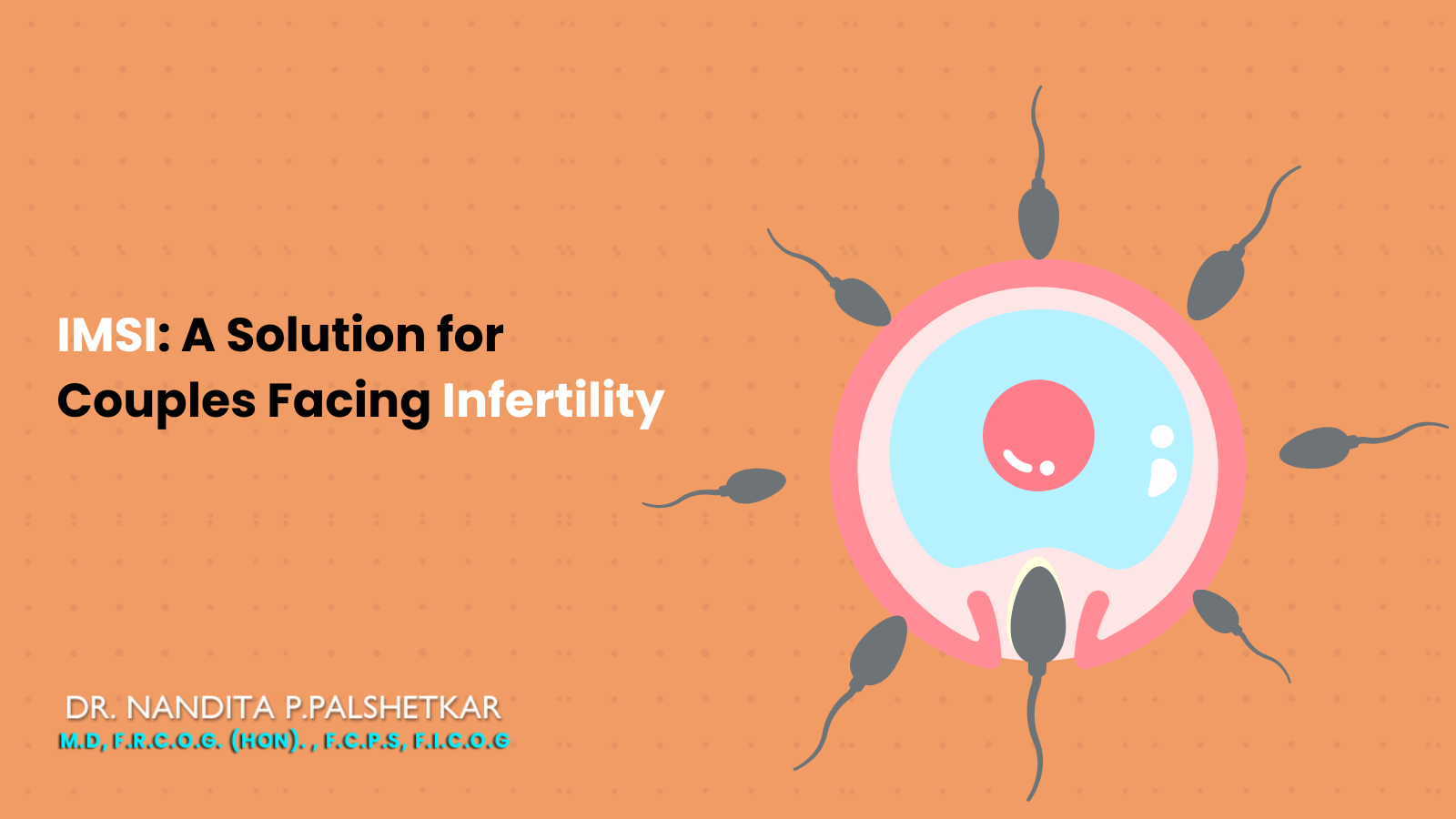 IMSI: A Solution for Couples Facing Infertility