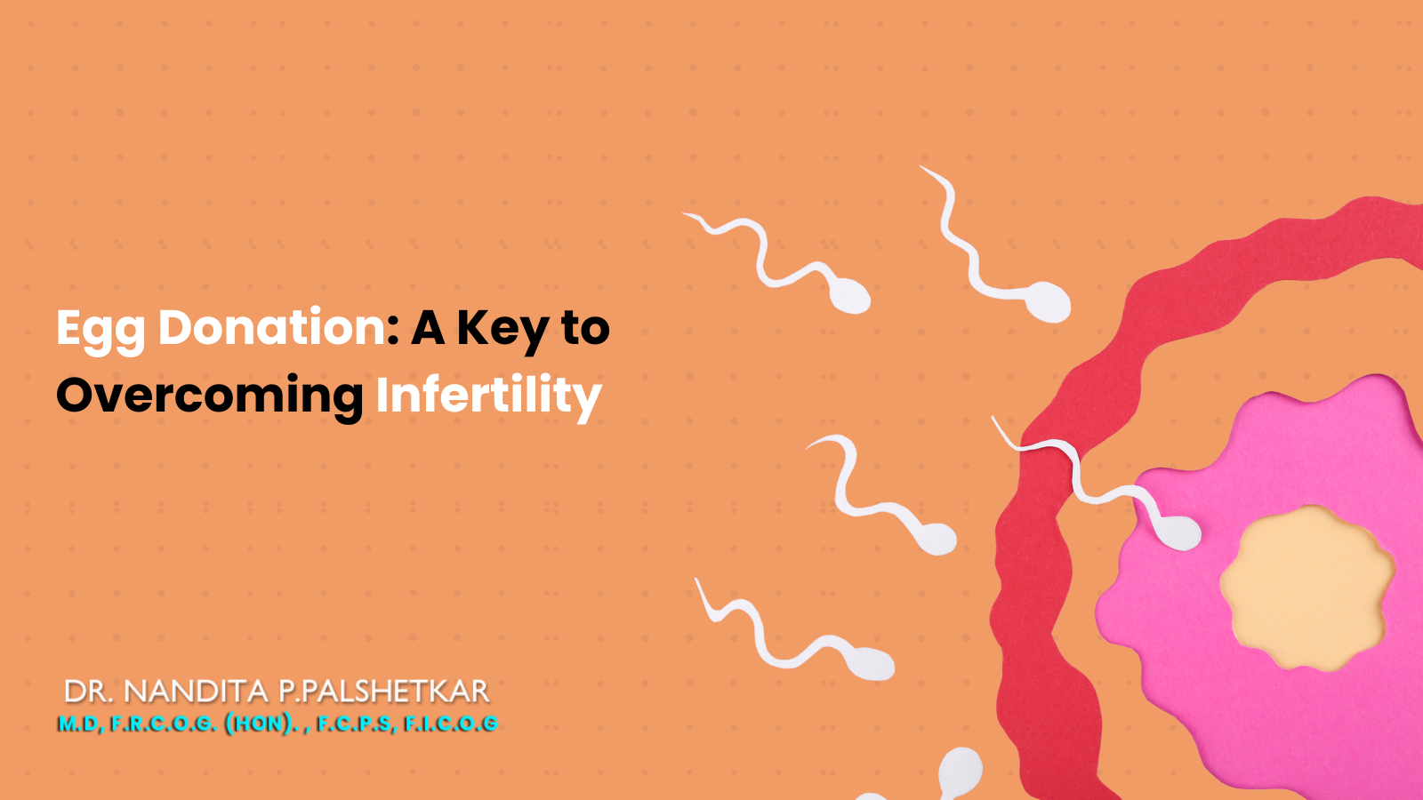 The Role of Egg Donation in Overcoming Infertility: What You Need to Know