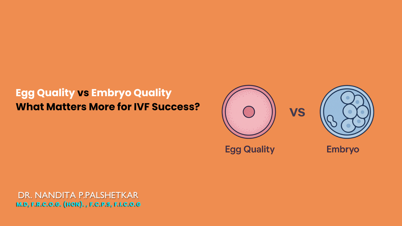 Egg quality and embryo quality for IVF success with icons of egg and embryo, featuring Dr Nandita Palshetkar, best infertility specialist.