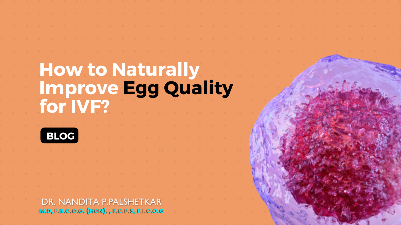 How to Naturally Improve Egg Quality for IVF?
