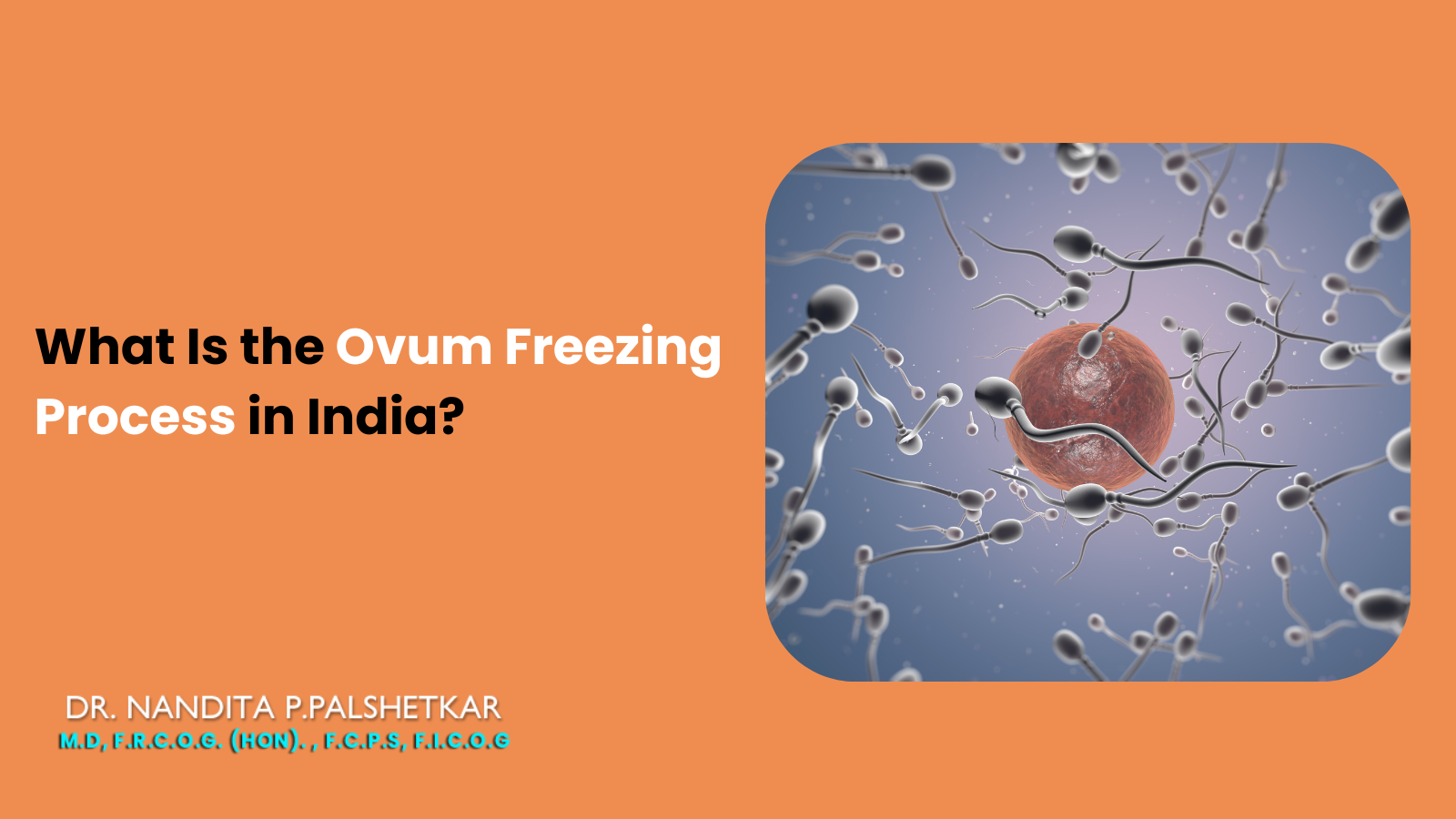 What Is the Ovum Freezing Process in India?