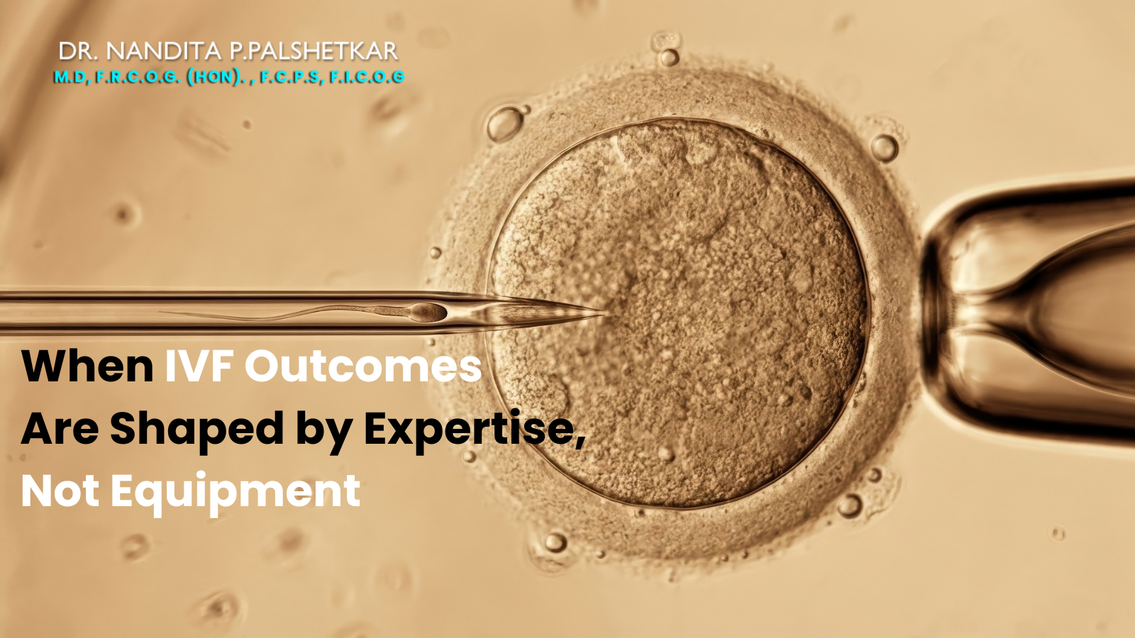 When IVF Outcomes Are Shaped by Expertise, Not Equipment