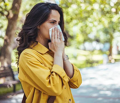 Sinus infections and bronchitis treatment
