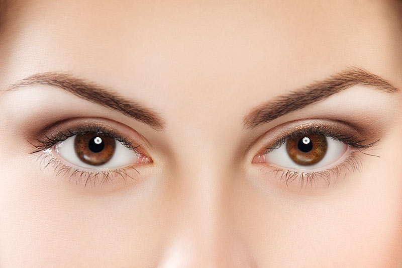 A Deeper Look at Eyebrow Transplants